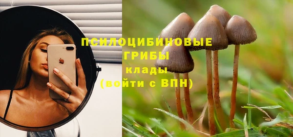 герыч Протвино