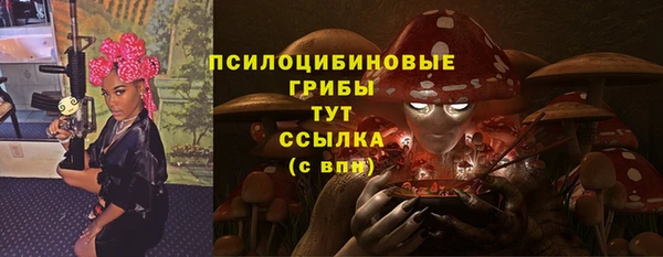 герыч Протвино