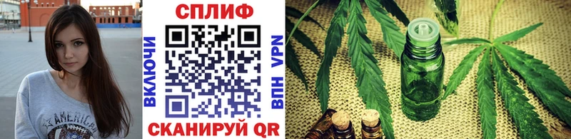 Купить закладки  Динская  Конопля MAZAR 